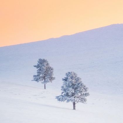 中国新疆喀什市8日7晚私家团