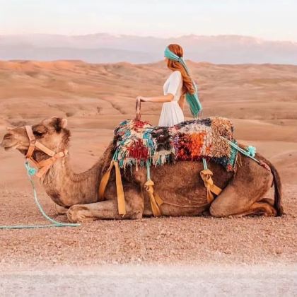 摩洛哥卡萨布兰卡+马拉喀什+梅祖卡沙漠+非斯9日7晚私家团