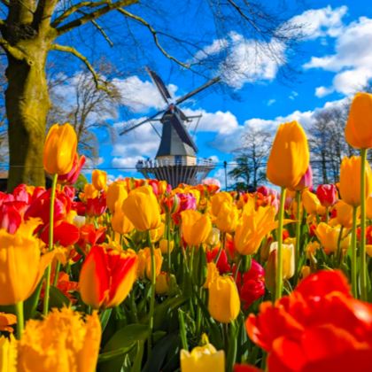 阿姆斯特丹+鹿特丹+布鲁塞尔+安特卫普+科隆+柏林13日12晚私家团