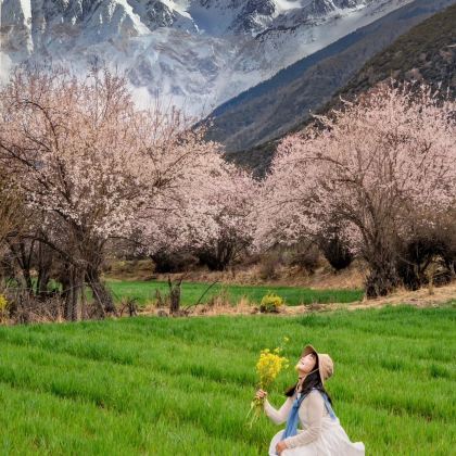 西藏林芝+波密+拉萨+雅鲁藏布大峡谷+布达拉宫+羊卓雍错+巴松措7日6晚私家团