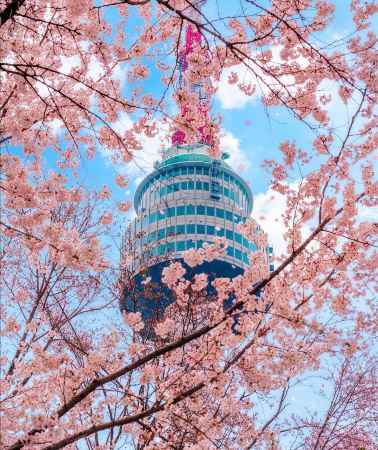 5天4晚 • 韓國首爾＋濟州島｜景福宮-仁寺洞-聖水洞-南山公園-牛岛-城山日出峰-涉地可支-月汀里｜熱門景點打卡韓式浪漫＆四鑽住宿含接送機