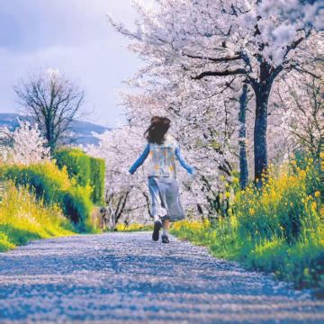 日本福冈+长崎市5日4晚私家团