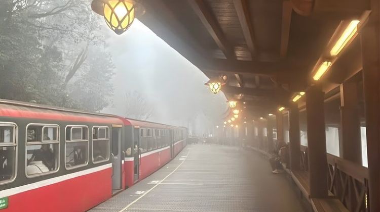 2D1N · Group Tours · Alishan 2Day Shared Tour from Taipei