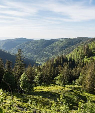 4D3N • 4-Day Private Tour of Alsace and the Black Forest