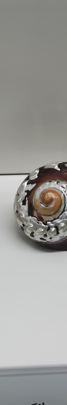 贝壳王国-秦皇岛