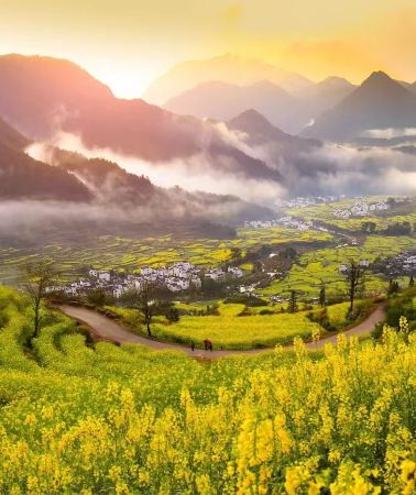 4D3N • Wuyuan + Sanqingshan Mount Scenic Area + Wangxian Valley
