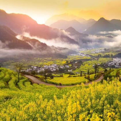 黄山风景区+宏村景区+婺源5日4晚跟团游