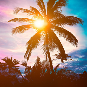 斯里兰卡+马尔代夫8日6晚自由行