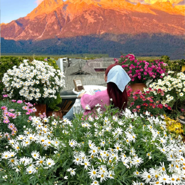 云南大理市+丽江+洱海+玉龙雪山6日5晚私家团