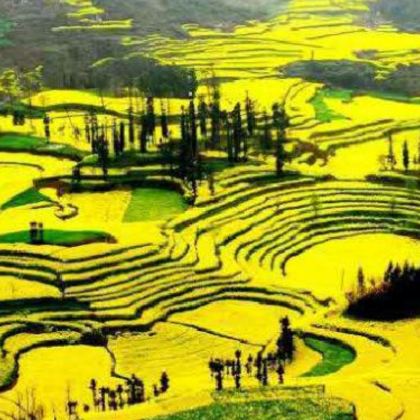 昆明+罗平+建水+元阳+蒙自+广南+普者黑风景区+弥勒+元谋+东川红土地11日10晚跟团游