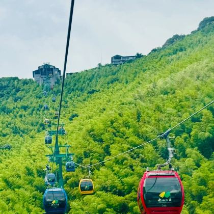 常州+天目湖南山竹海景区+中华恐龙园5日4晚私家团