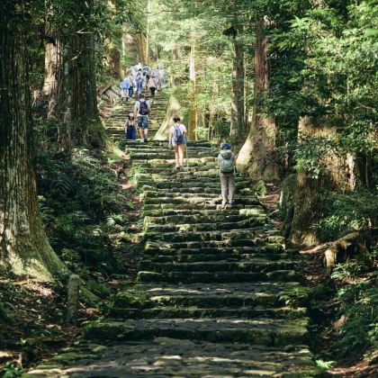 日本大阪+高野山+熊野古道+白滨町+和歌山市3日2晚私家团