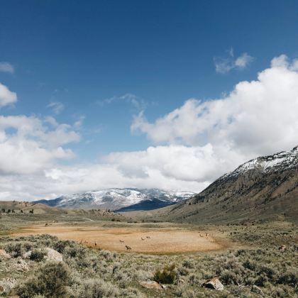美国盐湖城+黄石国家公园+大蒂顿国家公园+杰克逊3日2晚私家团