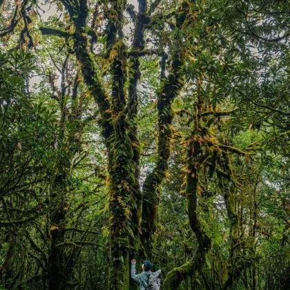 芒市+瑞丽+腾冲+高黎贡山8日7晚私家团