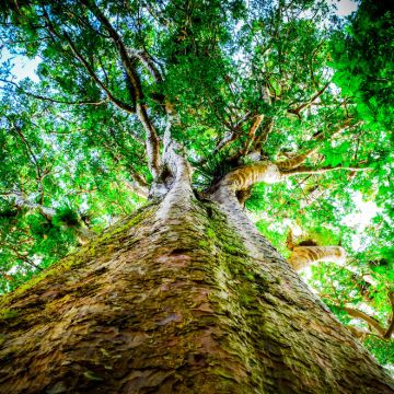 新西兰基督城+皇后镇17日15晚私家团