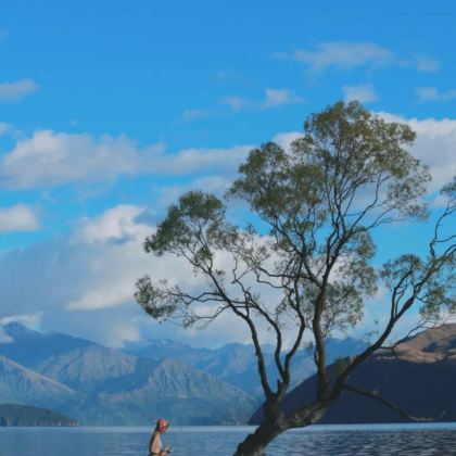 新西兰南岛+奥克兰11日10晚私家团