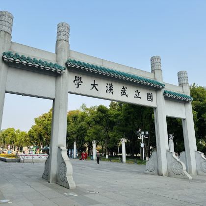 名校参访·武汉大学半日亲子营【名校风暴｜名校学子带队面对面交流分享】【武汉大学探校游】【珞珈门+樱花城堡】【考学分享+课程体验】