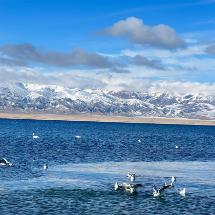 新疆北疆+伊犁+赛里木湖+那拉提4日3晚拼小团