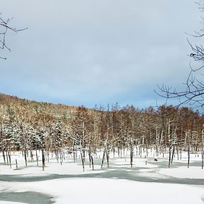 日本北海道登别+洞爷湖町+小樽+札幌7日6晚私家团