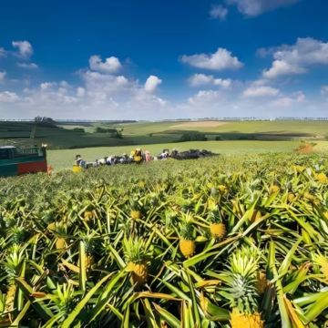 美国西雅图+夏威夷欧胡岛9日8晚私家团
