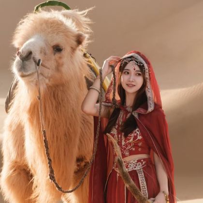 宁夏银川+腾格里沙漠4日3晚私家团