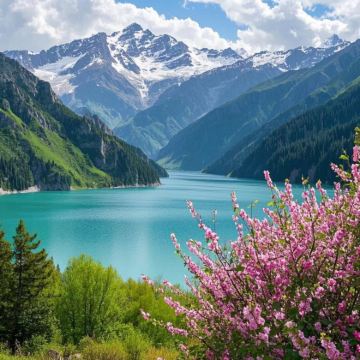 新疆北疆+乌鲁木齐+喀纳斯景区+赛里木湖8日7晚拼小团