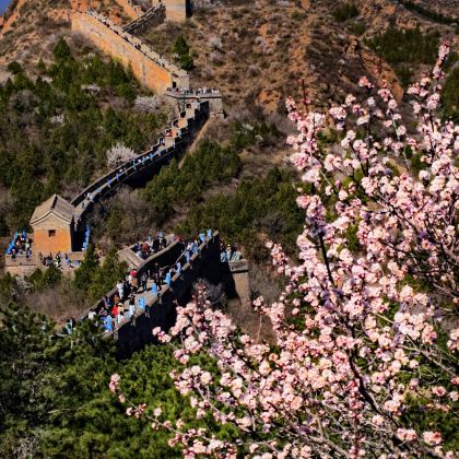 游牧长城穿行记，6天5晚亲子研学【从帝都到草原】马背骑行&非遗沙画&越野车穿越&金山岭长城徒步