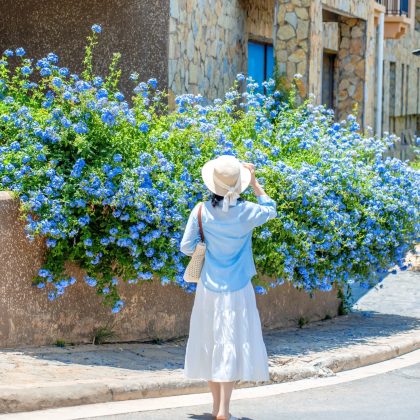 云南丽江+大理市+泸沽湖6日5晚私家团