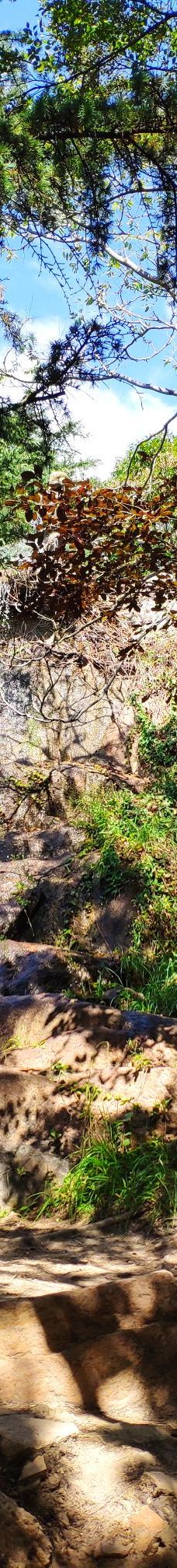 信号山公园-青岛