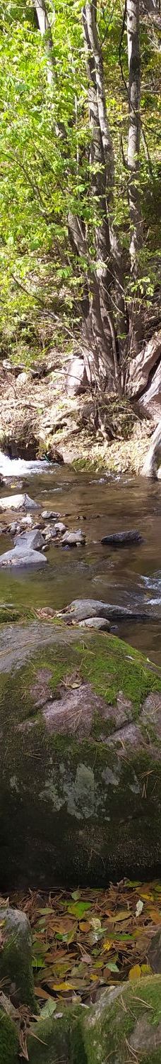 猴石国家森林公园-新宾