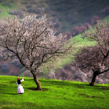 新疆乌鲁木齐+北疆8日7晚私家团