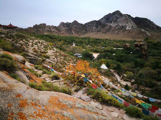 召庙旅行图片 2