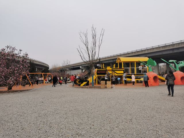 太原康培稻田公园旅行图片 3