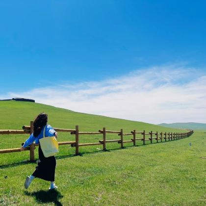 乌兰布统旅游区+木兰围场+塞罕坝国家森林公园3日2晚拼小团