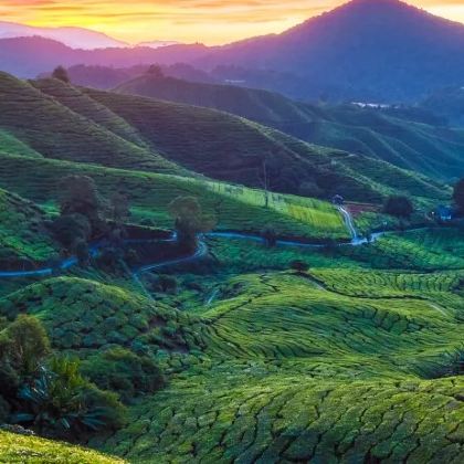 马来西亚吉隆坡+马六甲+金马伦大草场6日5晚私家团