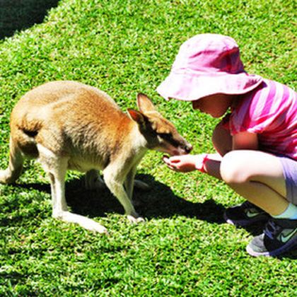 新西兰南岛+皇后镇10日私家团