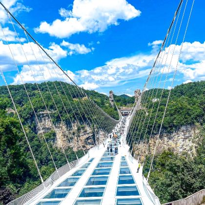 长沙+张家界+天门山+湘西+凤凰6日5晚跟团游