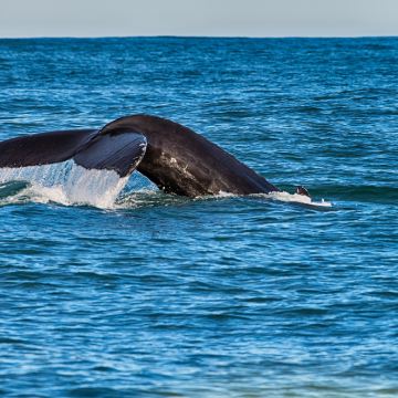 冰岛+法罗群岛12日跟团游