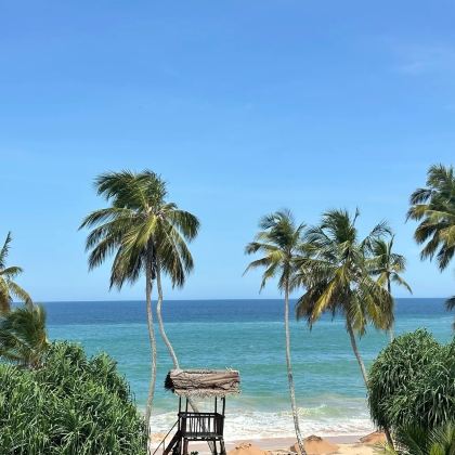 斯里兰卡+马来西亚11日10晚私家团