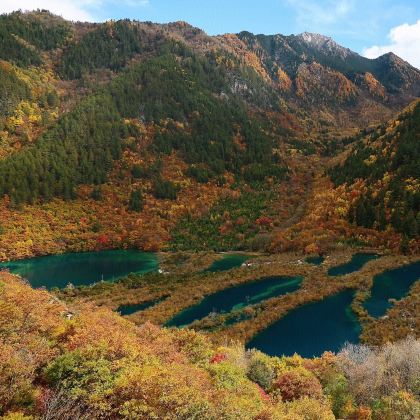 成都+九寨沟5日4晚私家团