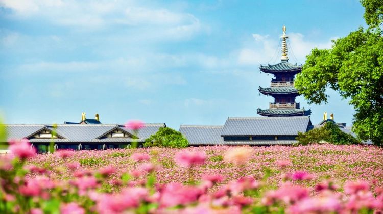 6D5N · Group Tours · Shanghai + Hangzhou + Wuxi +suzhou+ Wuzhen Welcome to contact customer service International visitor small group