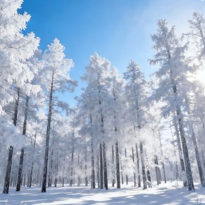 呼伦贝尔+额尔古纳+满洲里5日4晚私家团