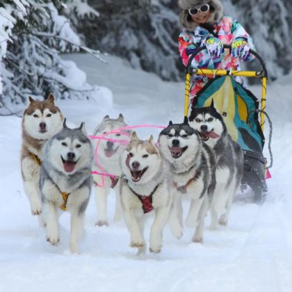 俄罗斯摩尔曼斯克3日2晚私家团