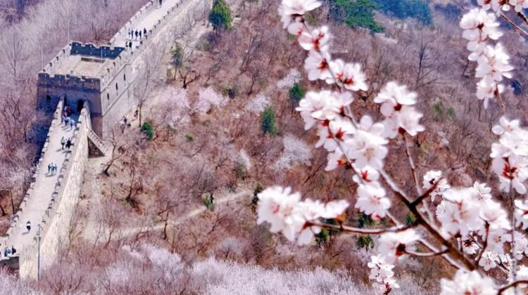 2D1N · Group Tours · Beijing + Mutianyu Great Wall + The Palace Museum + Temple of Heaven + Summer Palace