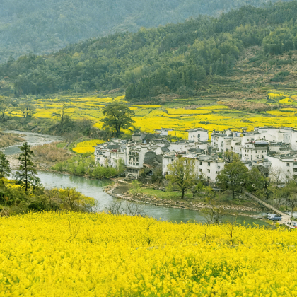 黄山风景区+婺源+宏村景区4日3晚跟团游