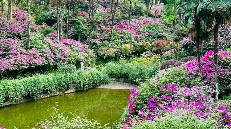 4D3N · Group Tours · China + Guilin + Yangshuo + Li River 3-star Cruise + Longji Rice Terraces