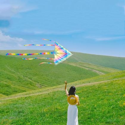 呼伦贝尔+额尔古纳+满洲里6日自由行