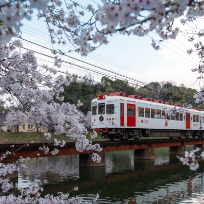 日本成田市2日1晚私家团