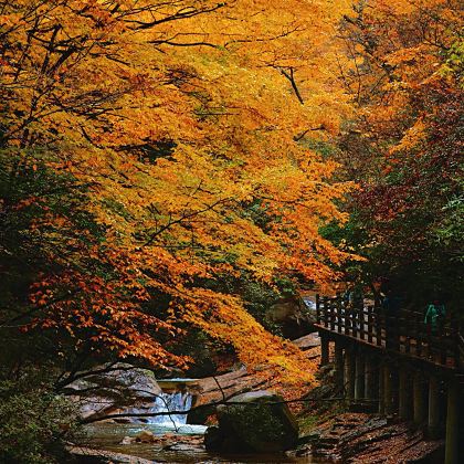 巴中+光雾山旅游景区+米仓山国家森林公园+十八月潭景区5日4晚私家团
