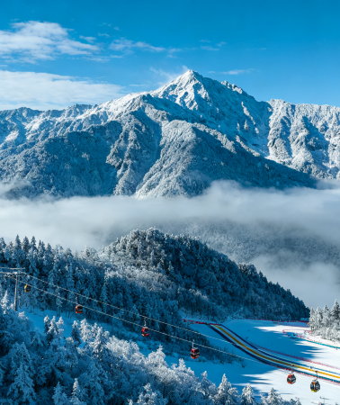 2D1N • Winter wonderland in Sichuan: Panda & 2-day immersive Xiling Snow Mountain with in-resort overnight stay